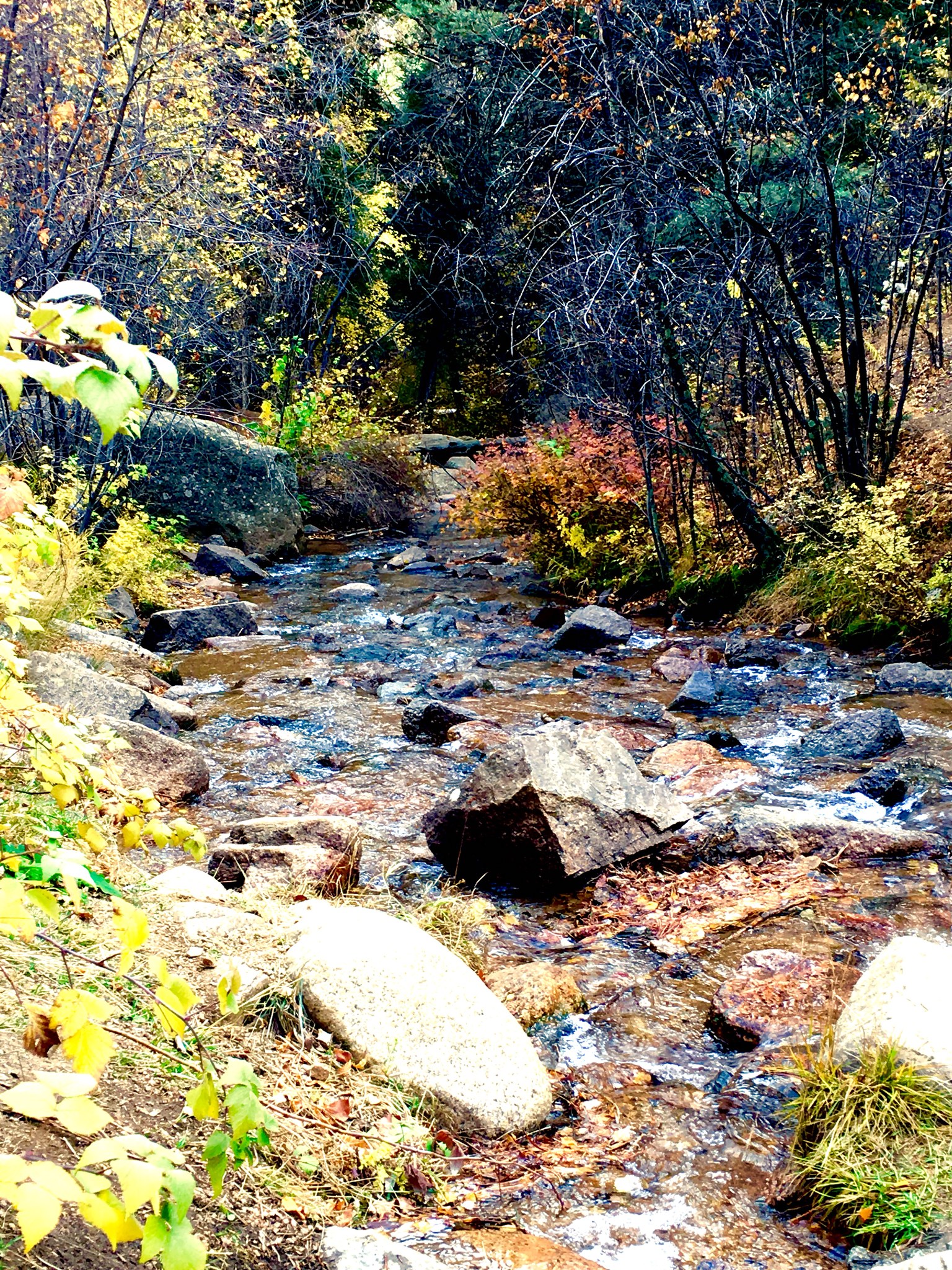 Cheyenne Creek